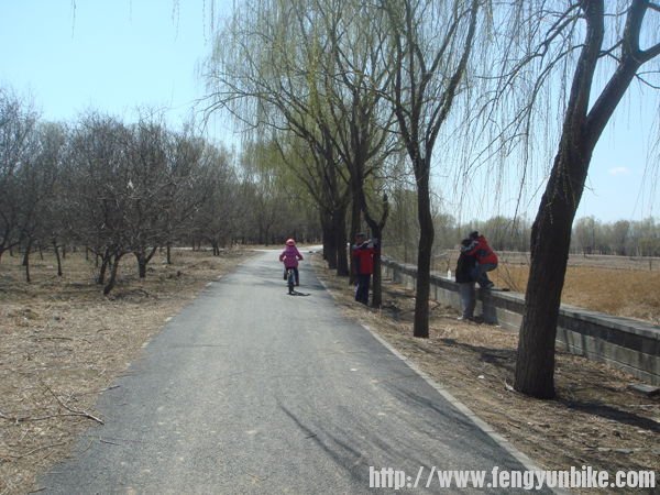 骑得挺快，镜头追不上了