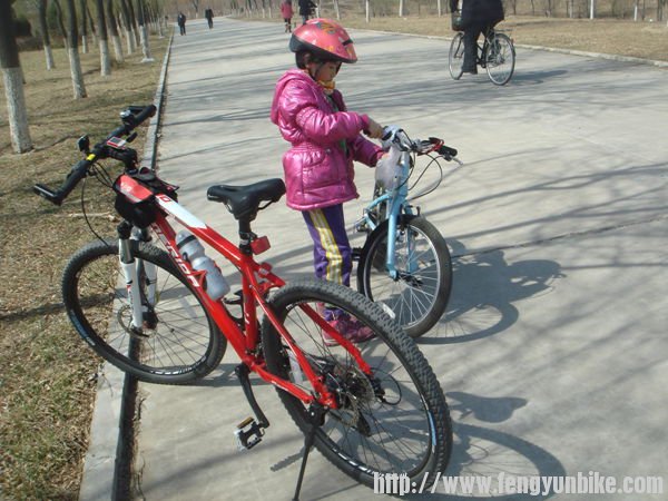 采了野菜挂车把上