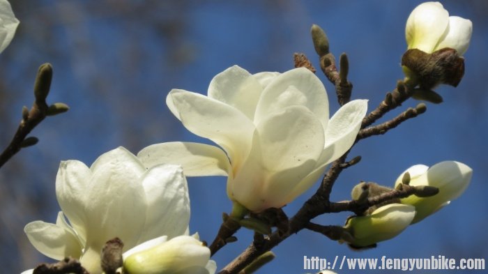 胡同&后海 21_001.JPG