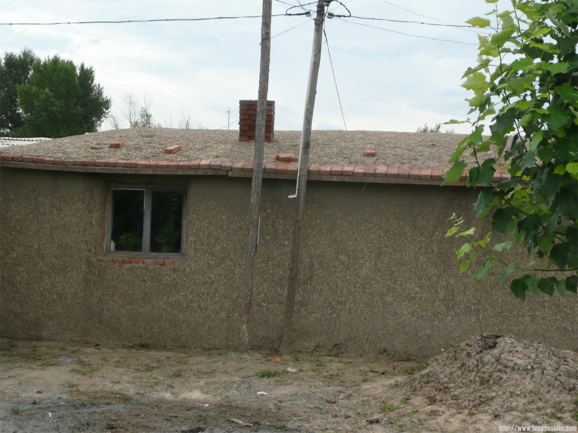 窗户擦的很干净，屋里还养着花儿。