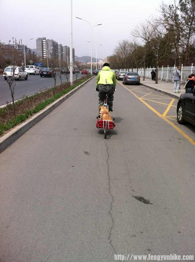 这家伙看样子很爽