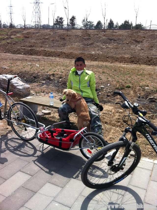 就喜欢让人抱着