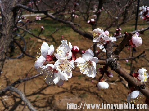 手机的微距也还凑合啊