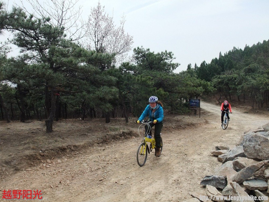 DSCF6620 (复制).JPG