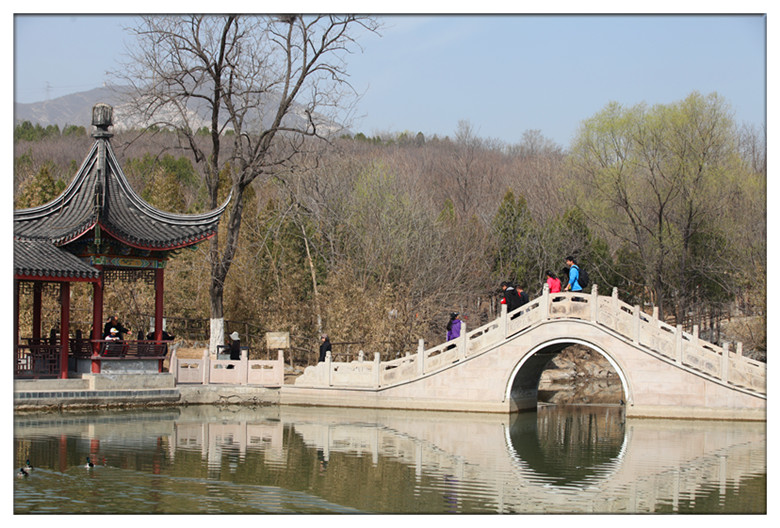 桥.jpg