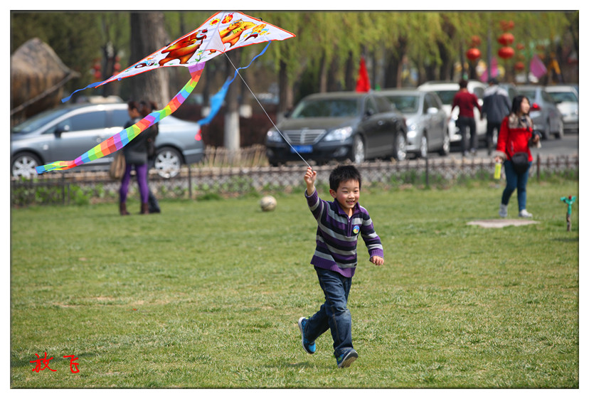 放飞2.jpg
