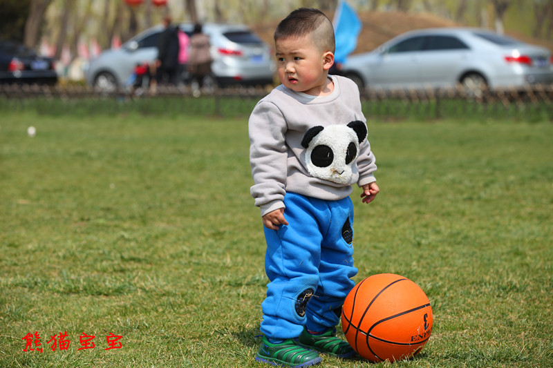 熊猫宝宝.jpg