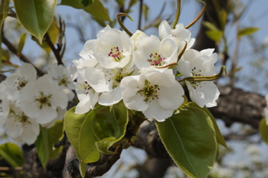 花美人更美啊！