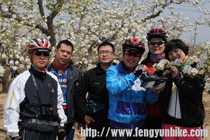 多美的花啊 太开心了