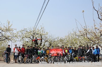 爱快看！树上有个猴爱~