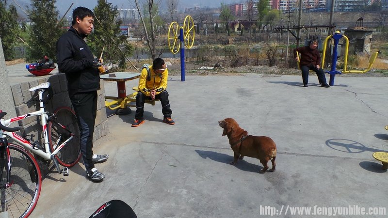 各位的关注点不一样啊~~，成版，在想啥？？