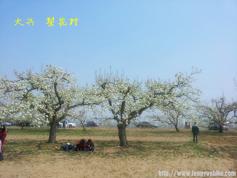 和情侣相映成辉