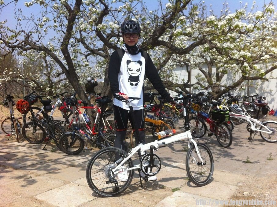 可爱的熊猫哥偷跑出来后半路被管理员接走了又。带伤战斗 勇气可佳~