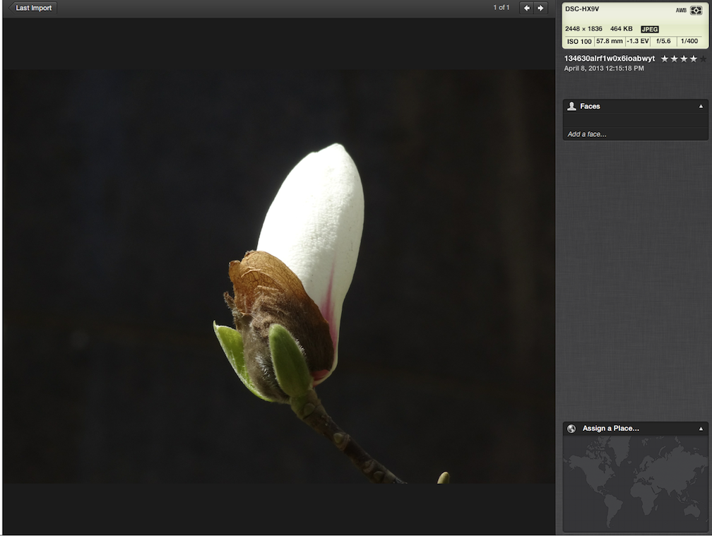 Screen Shot 2013-04-22 at 9.10.02 PM.png