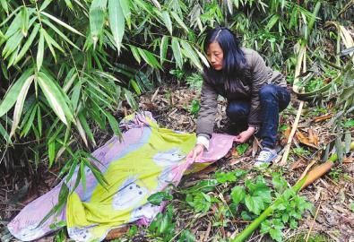 王琼用被单掩盖忠犬尸体。