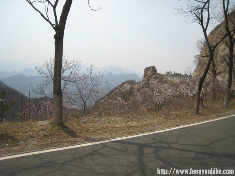 是心理变态不是坡变态