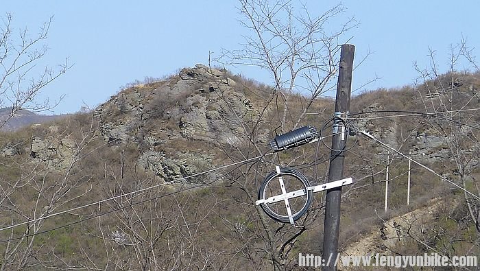 这是什么东东？