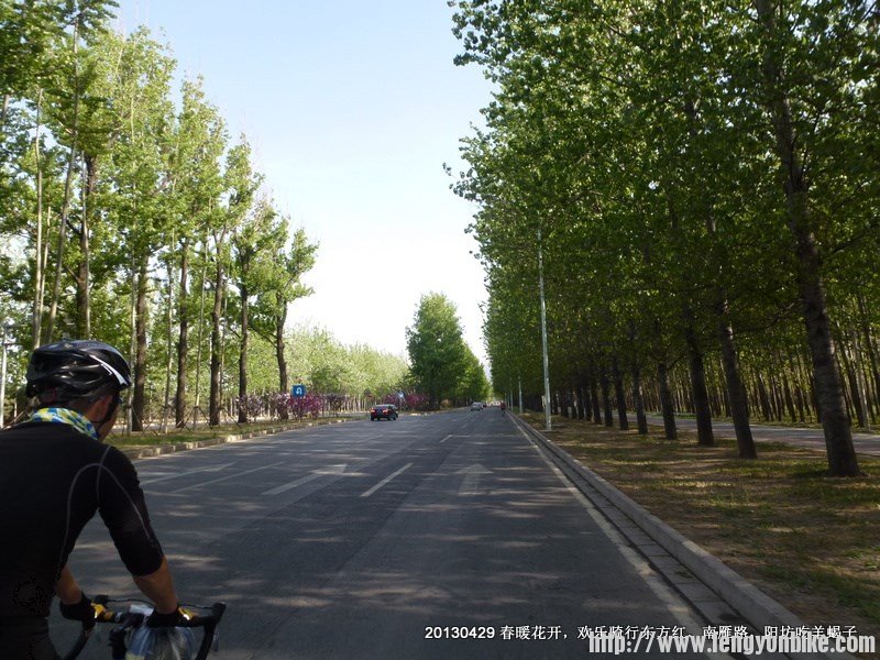 阳坊返程，这段路好爽的