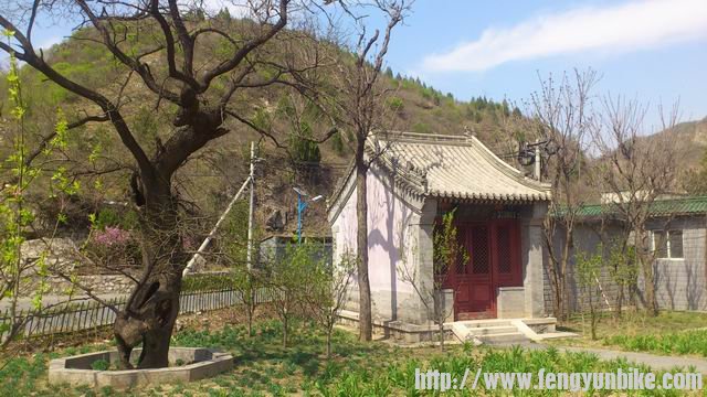 菩萨鹿的关帝庙及古树