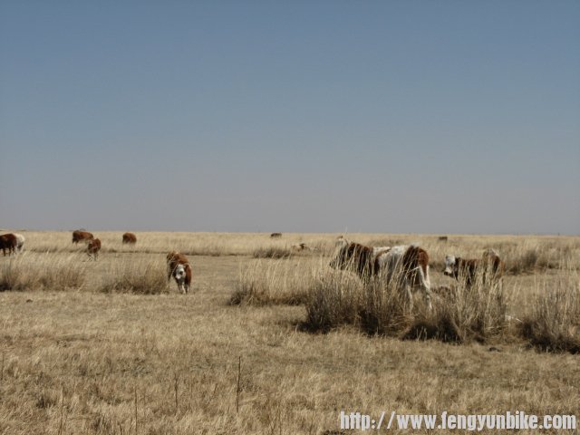 内蒙骑行记 025.jpg