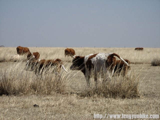 内蒙骑行记 026.jpg