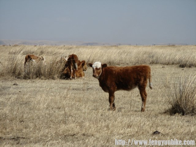 内蒙骑行记 028.jpg