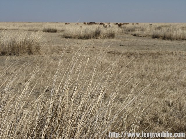 内蒙骑行记 035.jpg