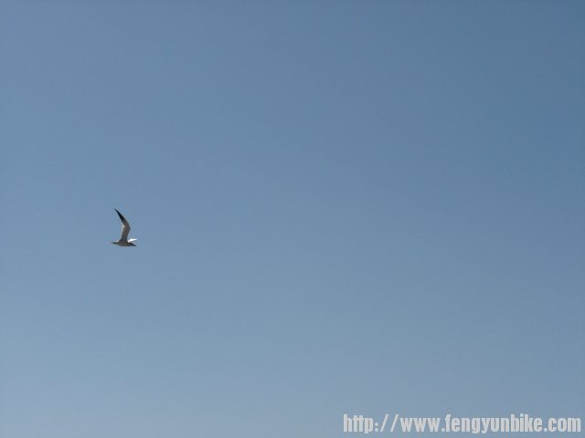 内蒙骑行记 053.jpg