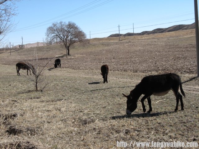 内蒙骑行记 080.jpg