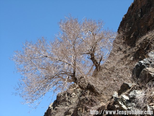 内蒙骑行记 090.jpg