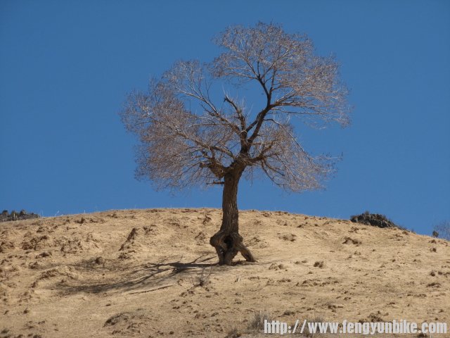 内蒙骑行记 096.jpg