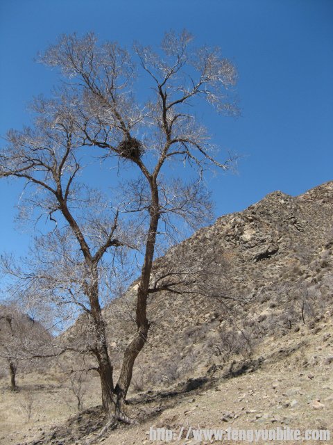 内蒙骑行记 106.jpg