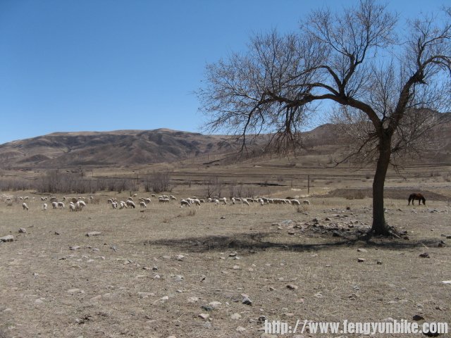 内蒙骑行记 105.jpg