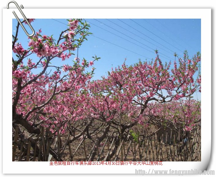130430平谷大华山赏桃花47.jpg