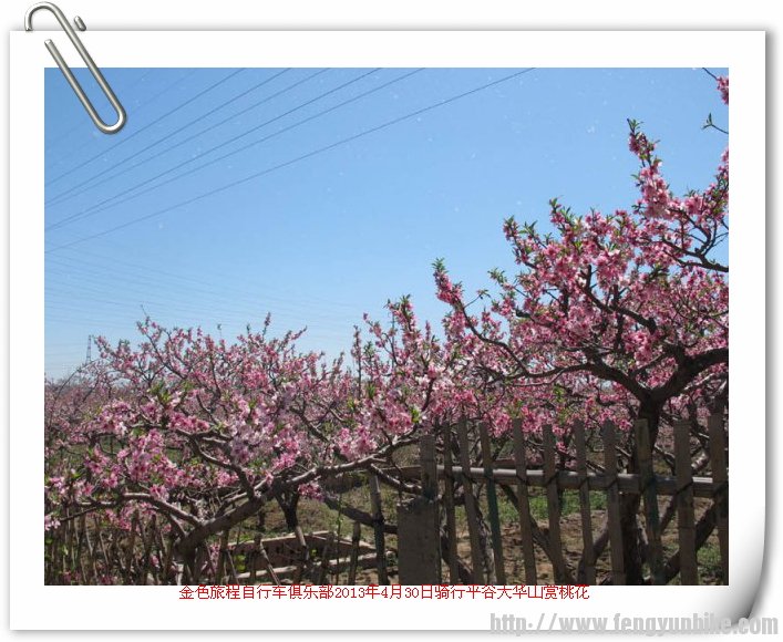 130430平谷大华山赏桃花48.jpg