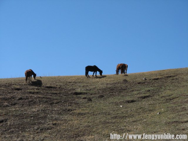 内蒙骑行记 144.jpg