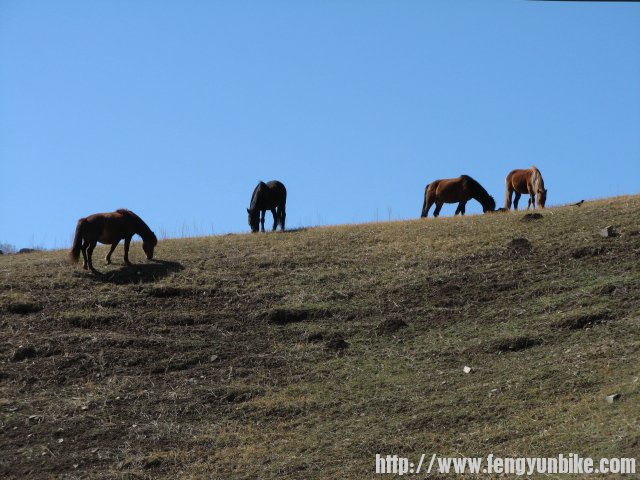 内蒙骑行记 146.jpg