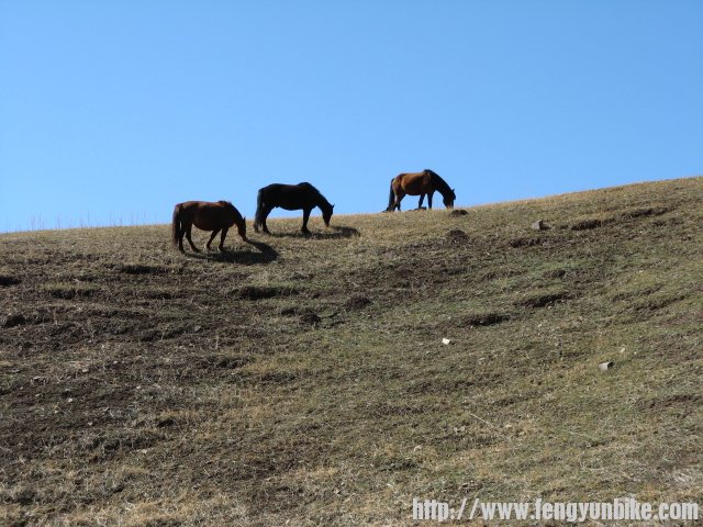 内蒙骑行记 149.jpg