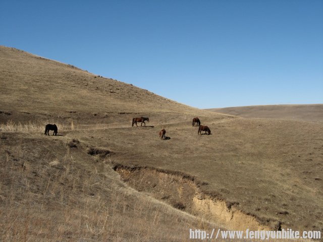 内蒙骑行记 152.jpg
