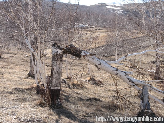 内蒙骑行记 164.jpg