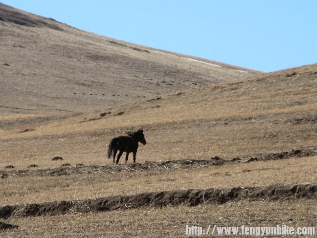 内蒙骑行记 177.jpg