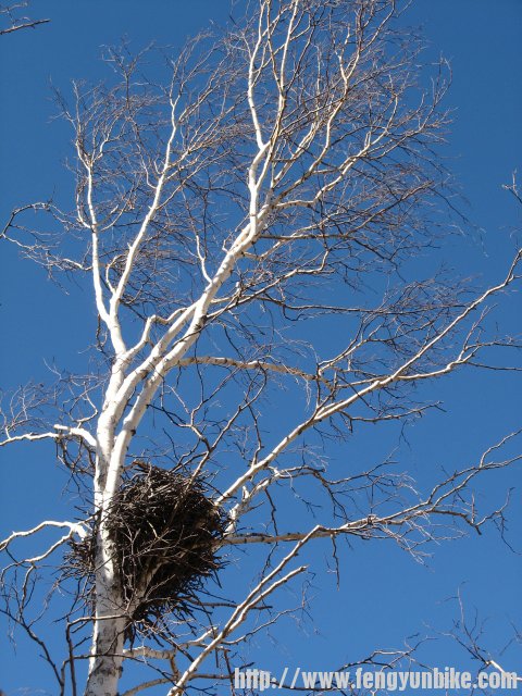 内蒙骑行记 170.jpg