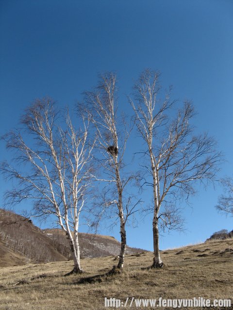 内蒙骑行记 171.jpg