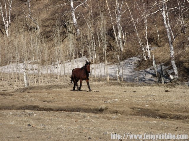 内蒙骑行记 172.jpg