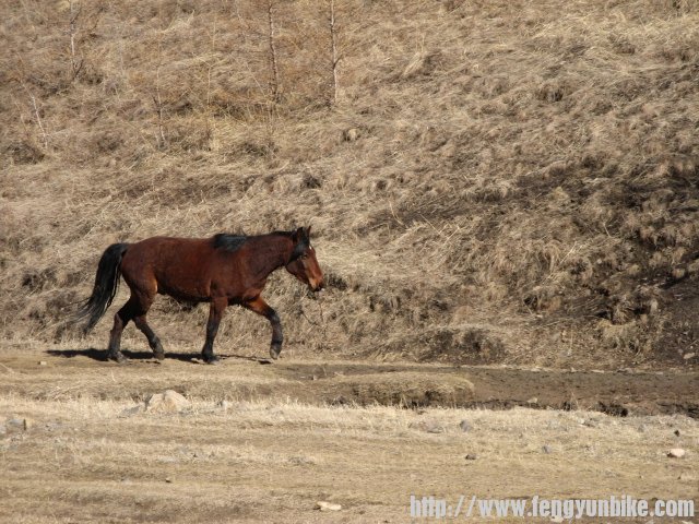 内蒙骑行记 173.jpg
