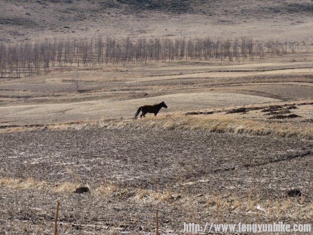 内蒙骑行记 176.jpg
