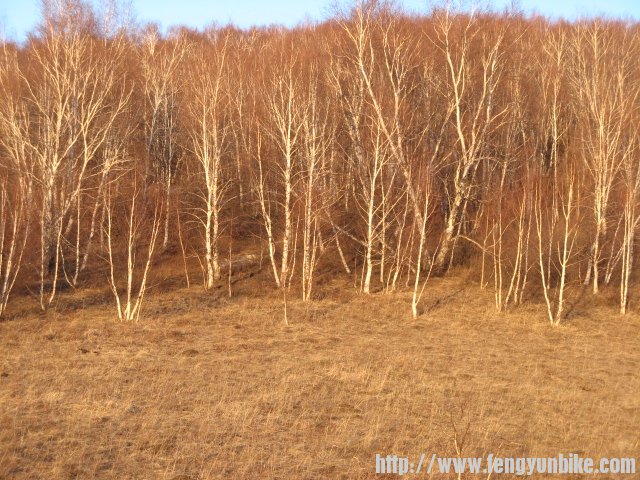 内蒙骑行记 226.jpg