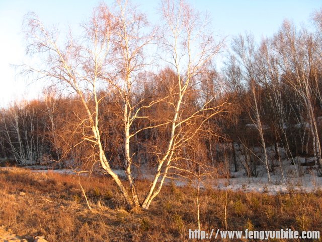 内蒙骑行记 230.jpg