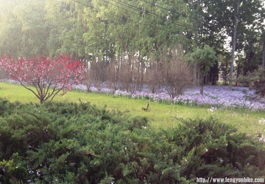 1304上课刷街四座楼 047.jpg