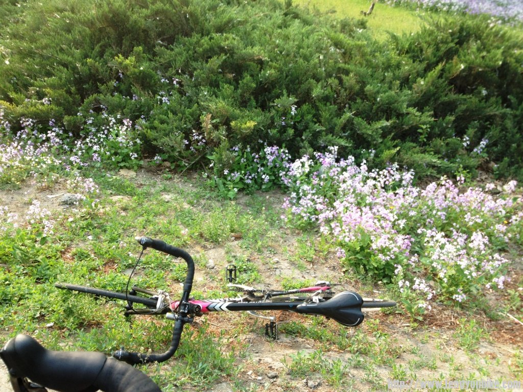 1304上课刷街四座楼 048.jpg